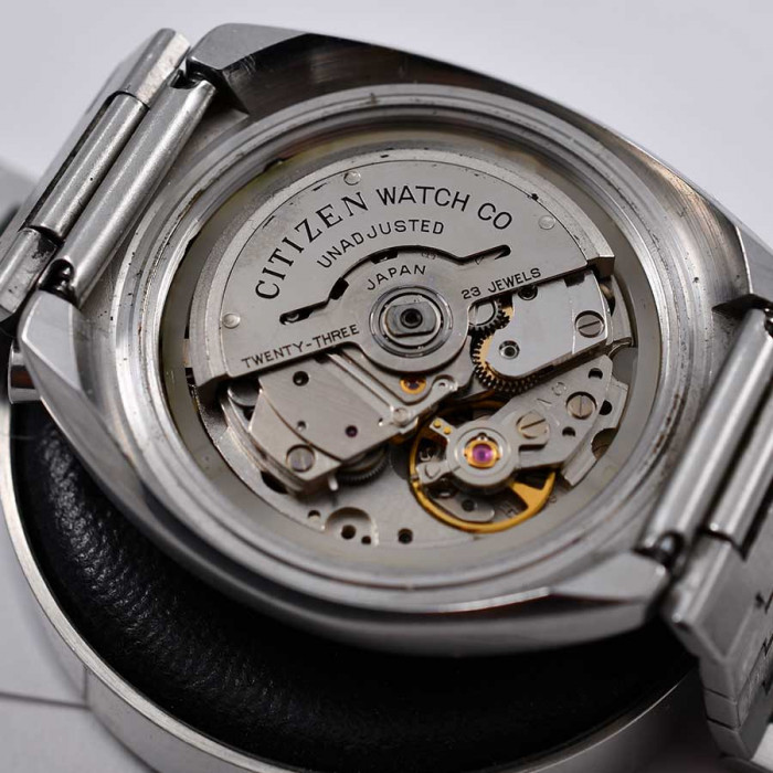 Citizen copy of BullHead White Polar