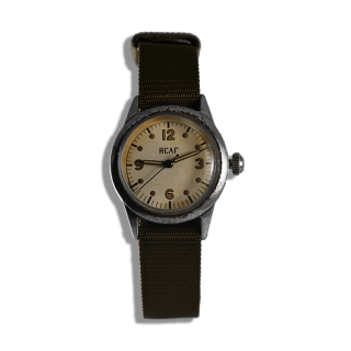 Waltham royal canadian air force pilot
