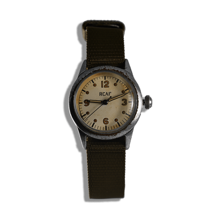 Waltham royal canadian air force pilot