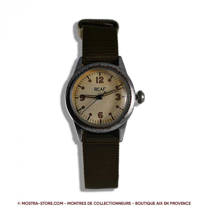 Waltham royal canadian air force pilot