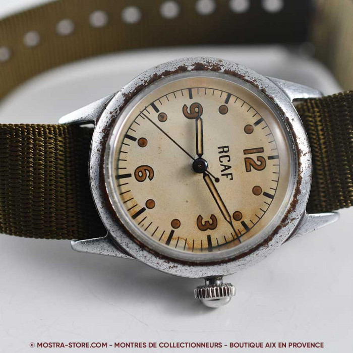 Waltham royal canadian air force pilot
