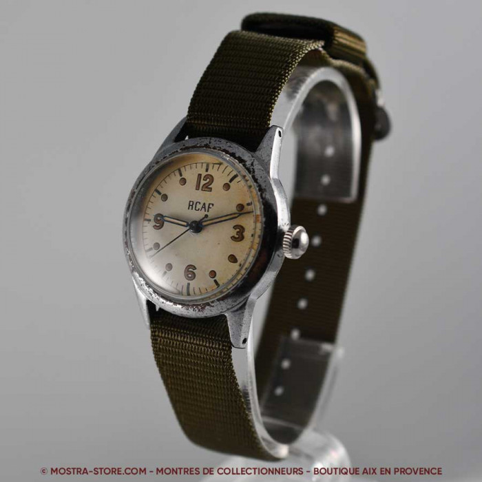 Waltham royal canadian air force pilot