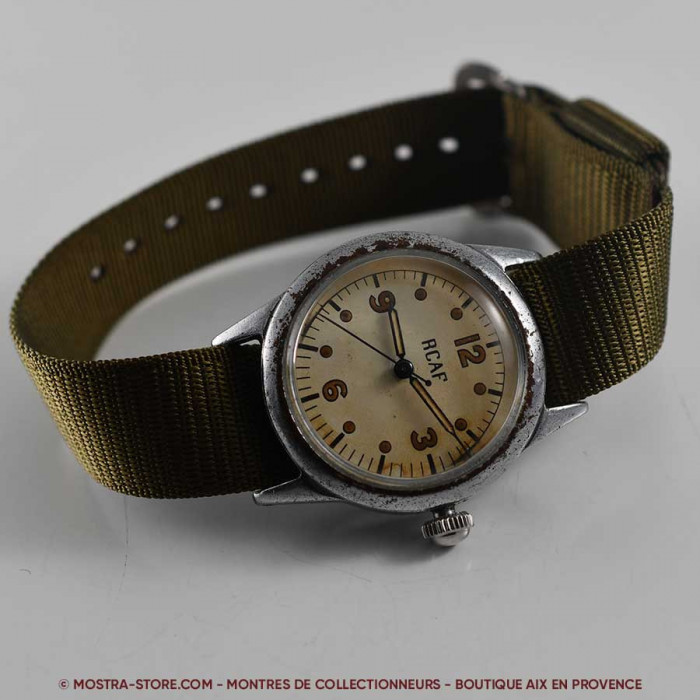 Waltham royal canadian air force pilot