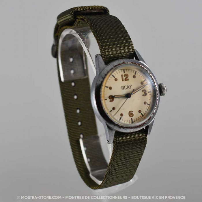 Waltham royal canadian air force pilot
