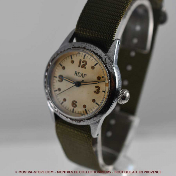 Waltham royal canadian air force pilot