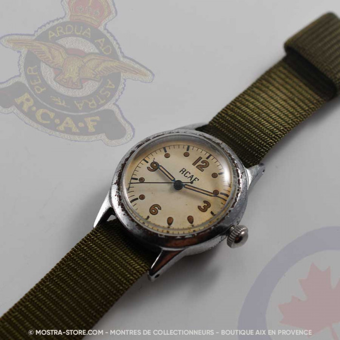 Waltham royal canadian air force pilot