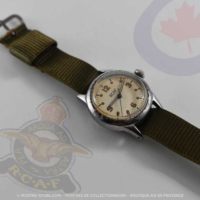 Waltham royal canadian air force pilot