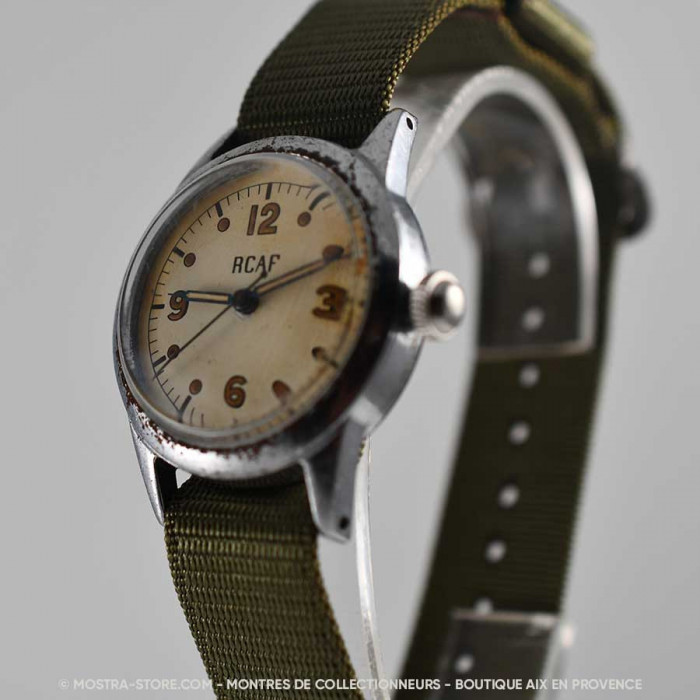 Waltham royal canadian air force pilot