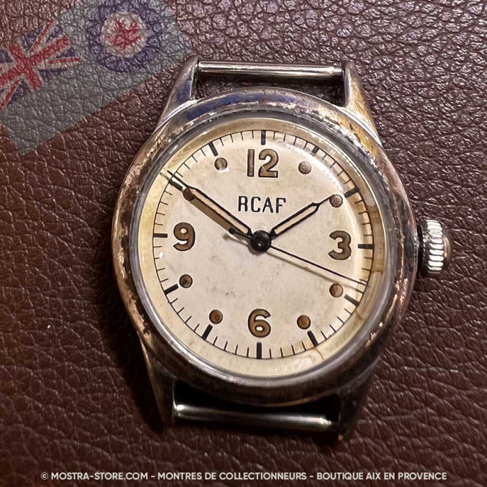 Waltham royal canadian air force pilot