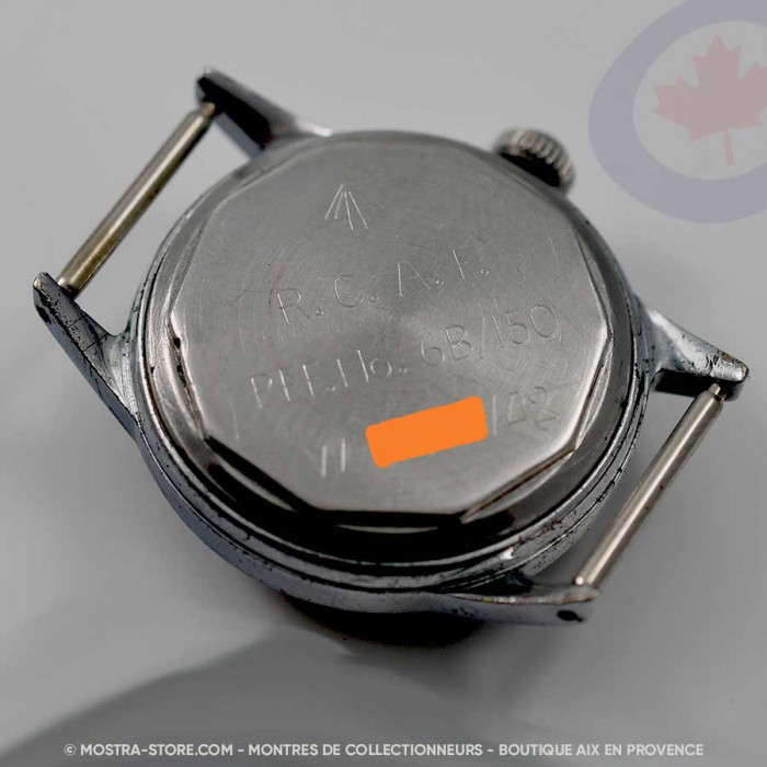 Waltham royal canadian air force pilot