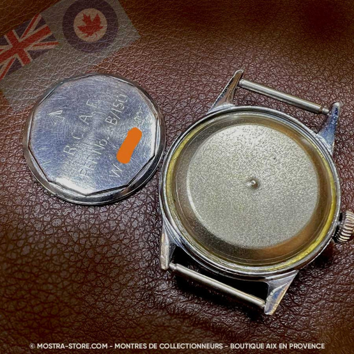 Waltham royal canadian air force pilot