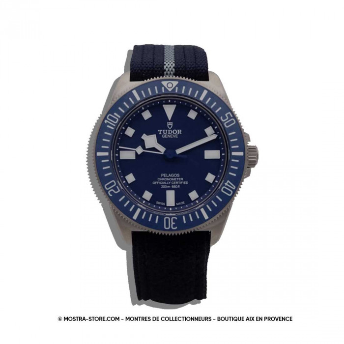 Tudor pelagos marine nationale