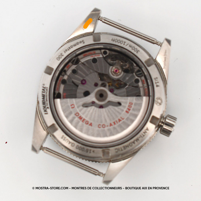 Omega seamaster 300 spectre type 2021 heritage