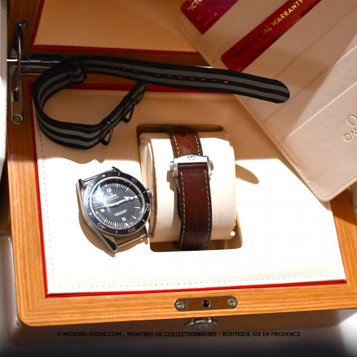 Omega seamaster 300 spectre type 2021 heritage